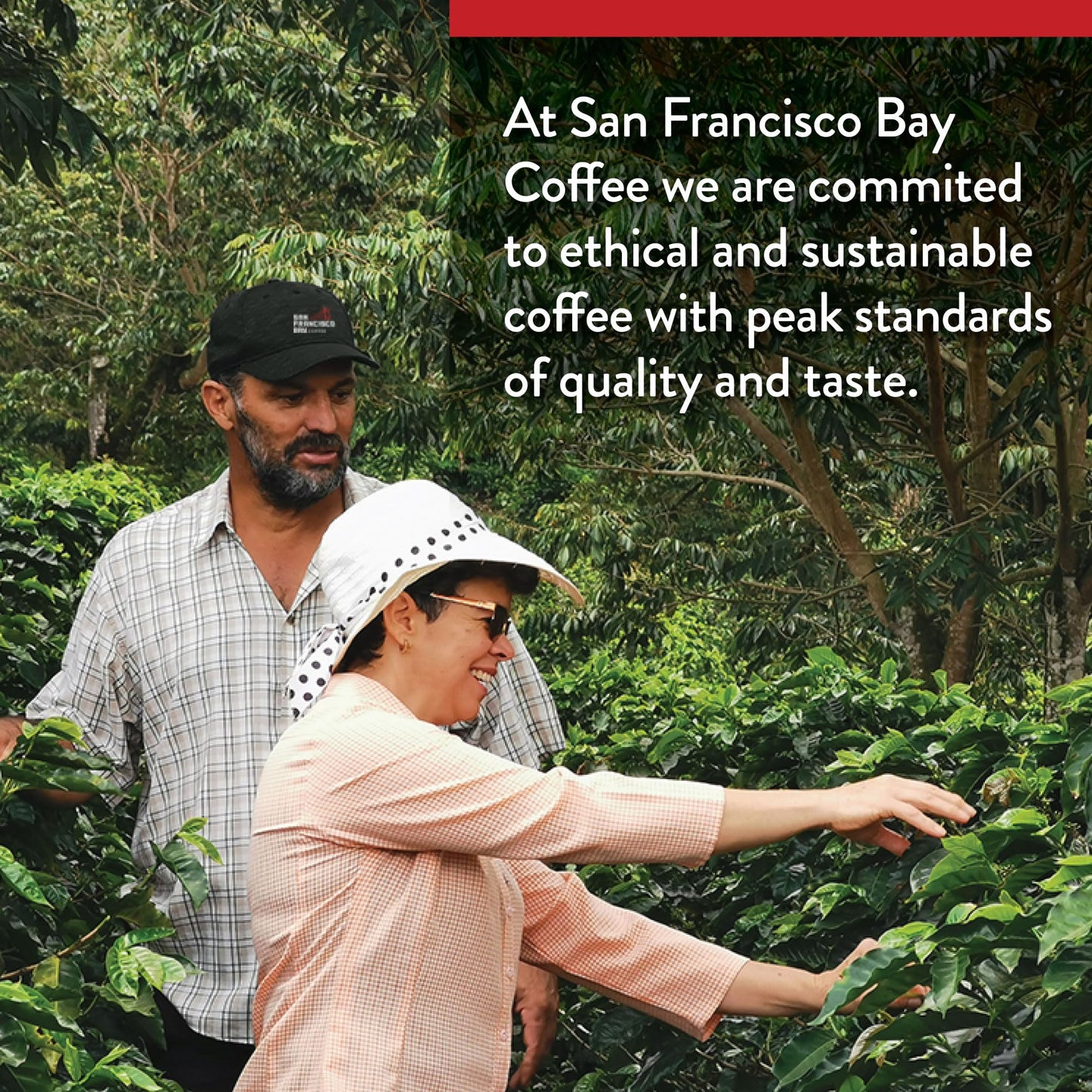 San Francisco Bay Ground Coffee – Bay Bridge Blend (28oz Bag), Medium Roast
