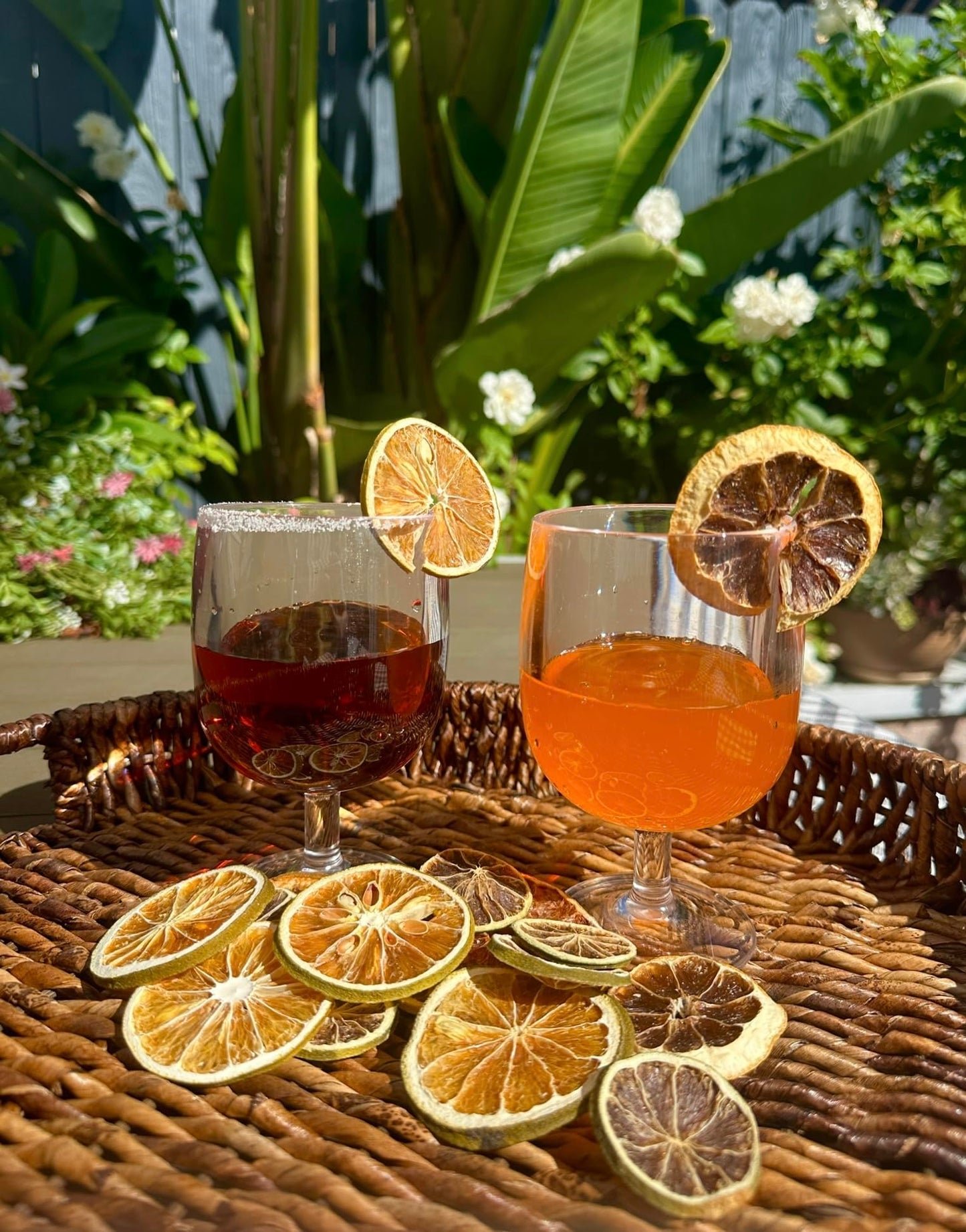 Utama Dehydrated Citrus - 50+ Piece Dried Lemon/Lime/Orange/Grapefruit - Cocktail/Food Garnishing - Citrus Potpourri - Mixed Dried Fruit Box